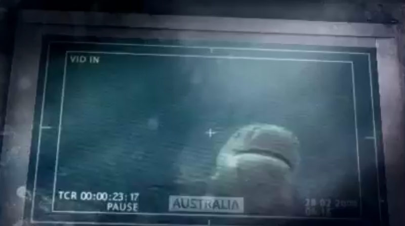 DISCOVERY CHANNEL - RIVER MONSTER - PROMO 30s